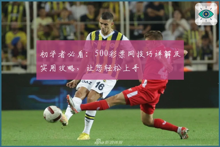 初学者必看:500彩票网技巧详解及实用攻略,让您轻松上手