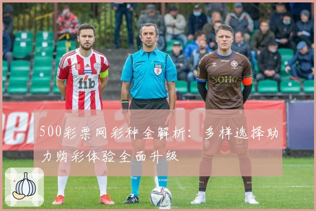 500彩票网彩种全解析:多样选择助力购彩体验全面升级