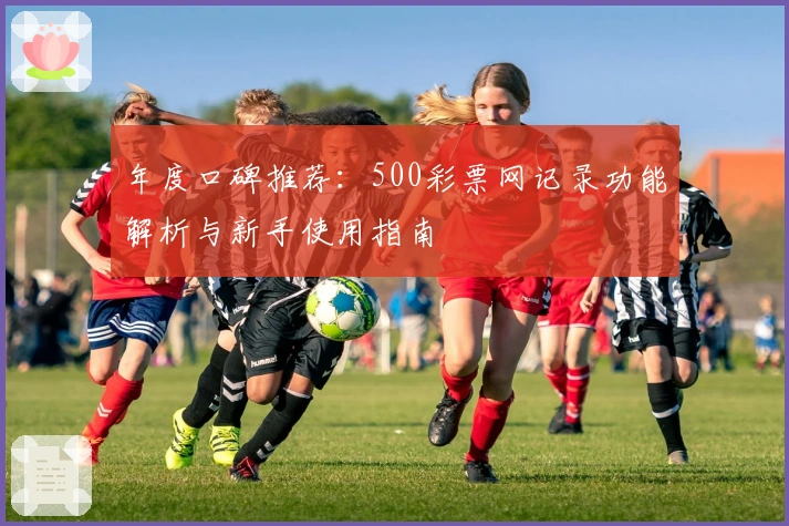 年度口碑推荐：500彩票网记录功能解析与新手使用指南