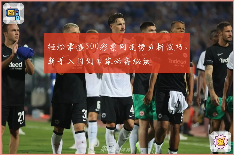 轻松掌握500彩票网走势分析技巧，新手入门到专家必备秘诀