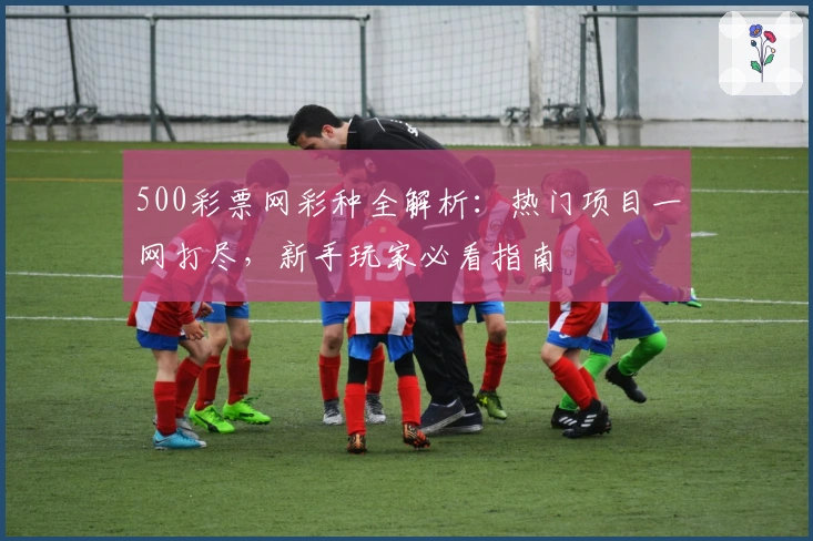 500彩票网彩种全解析：热门项目一网打尽，新手玩家必看指南